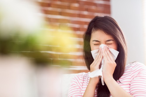 Air Conditioning And Indoor Allergies